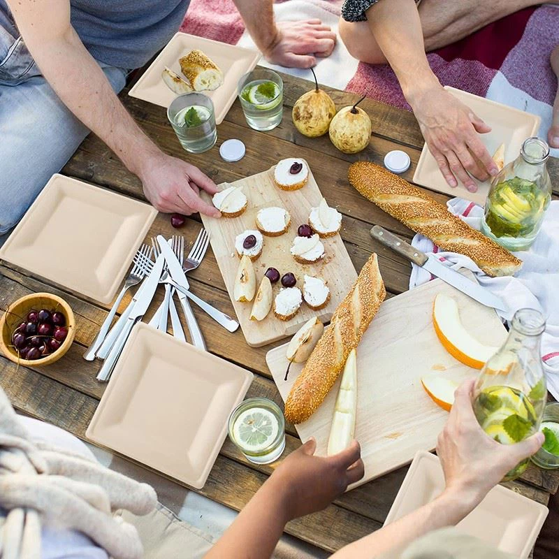 7 inch heavy-duty sugarcane fiber plates